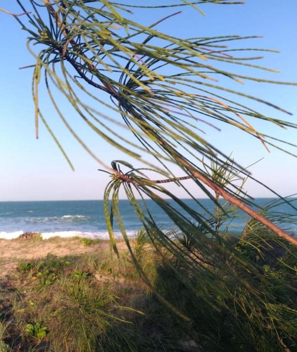 Photo of Others in Tucuns