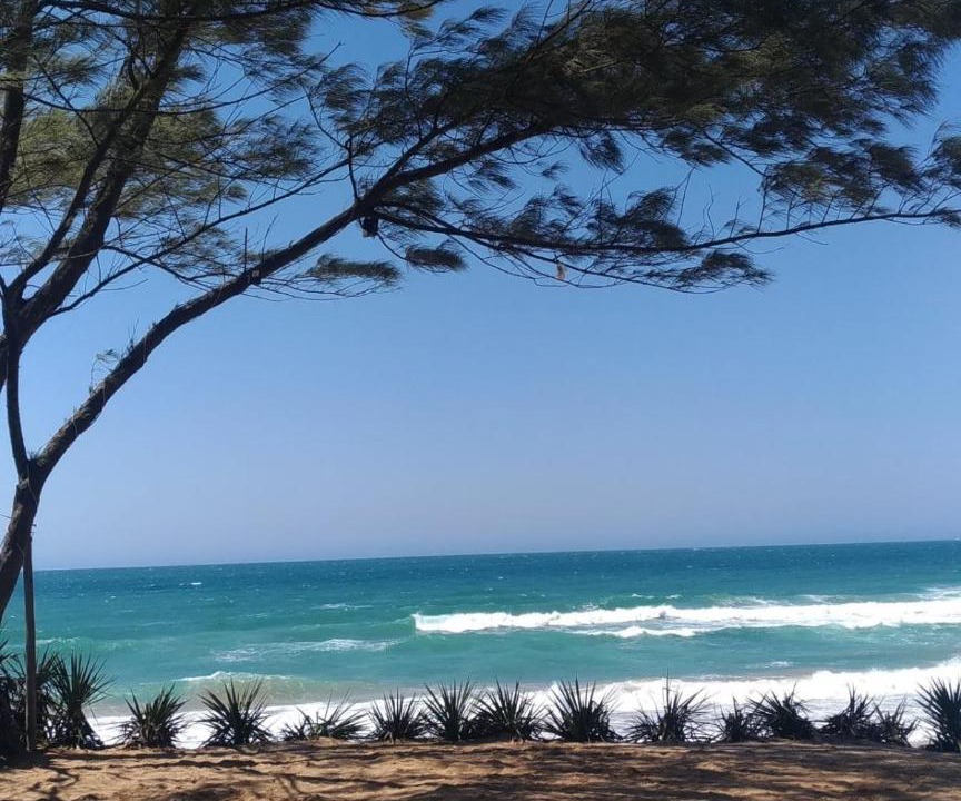 Photo of Others in Tucuns