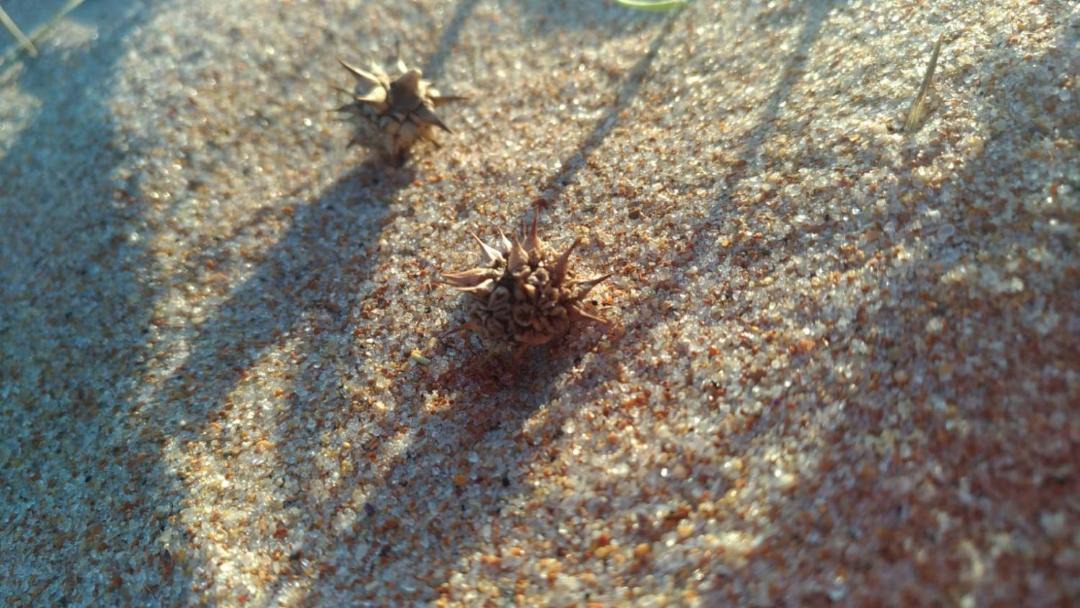 Photo of Outdoor in Tucuns