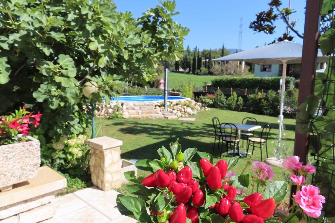 Photo of Others in Ceredello