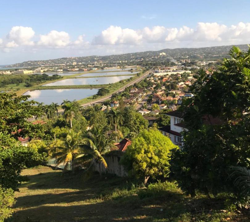 Photo of Others in Montego Bay