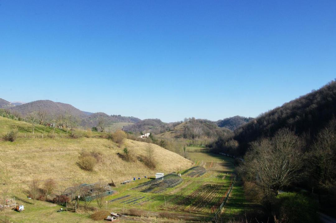 Photo of Others in Bassano del Grappa