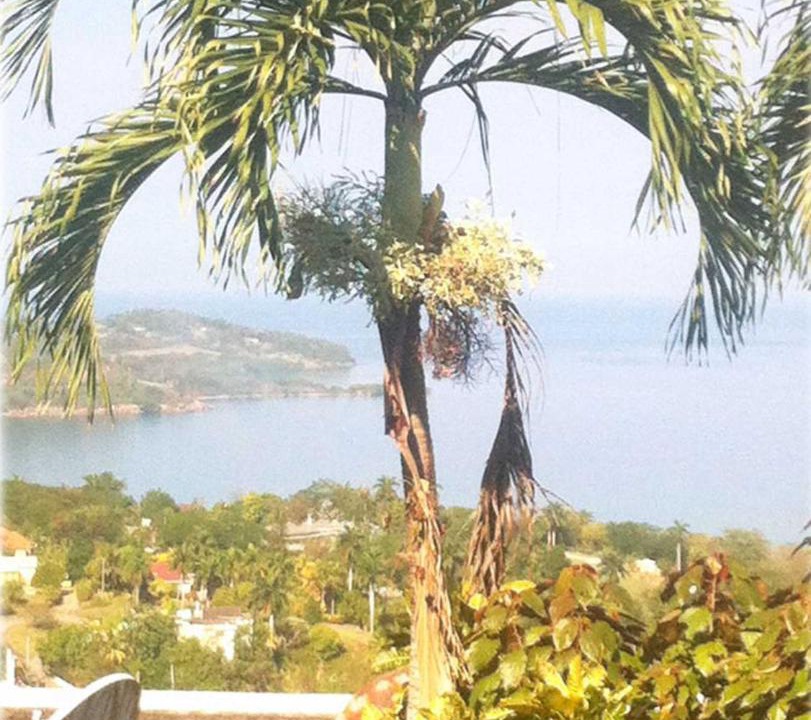 Photo of Others in Montego Bay