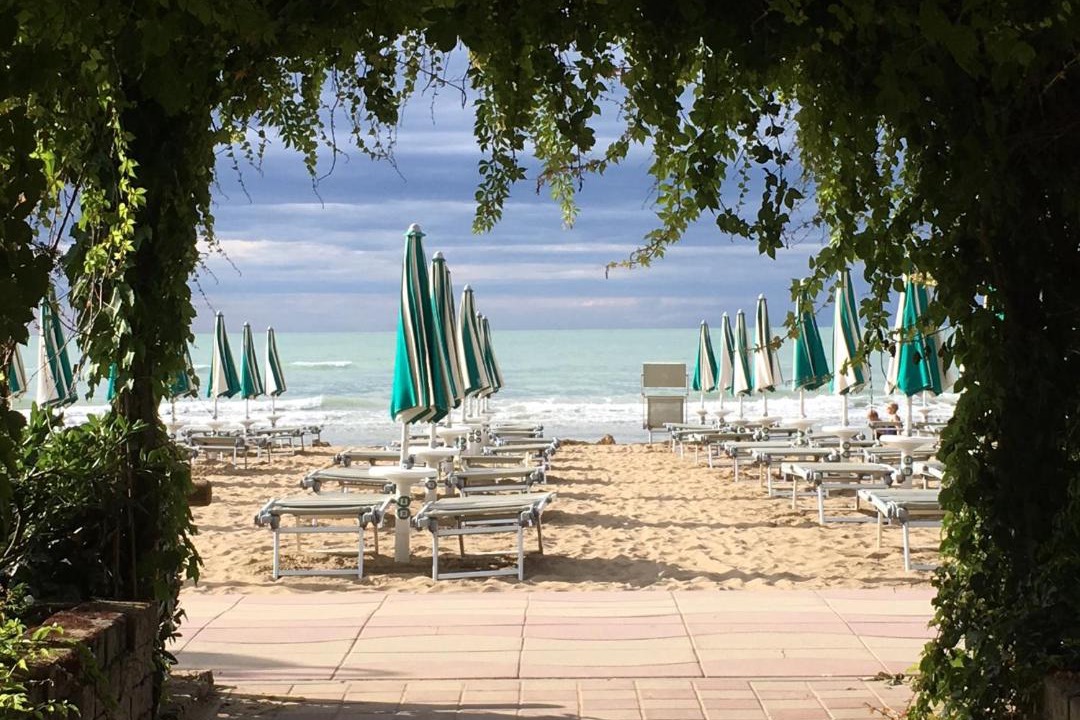 Photo of Others in Jesolo Pineta