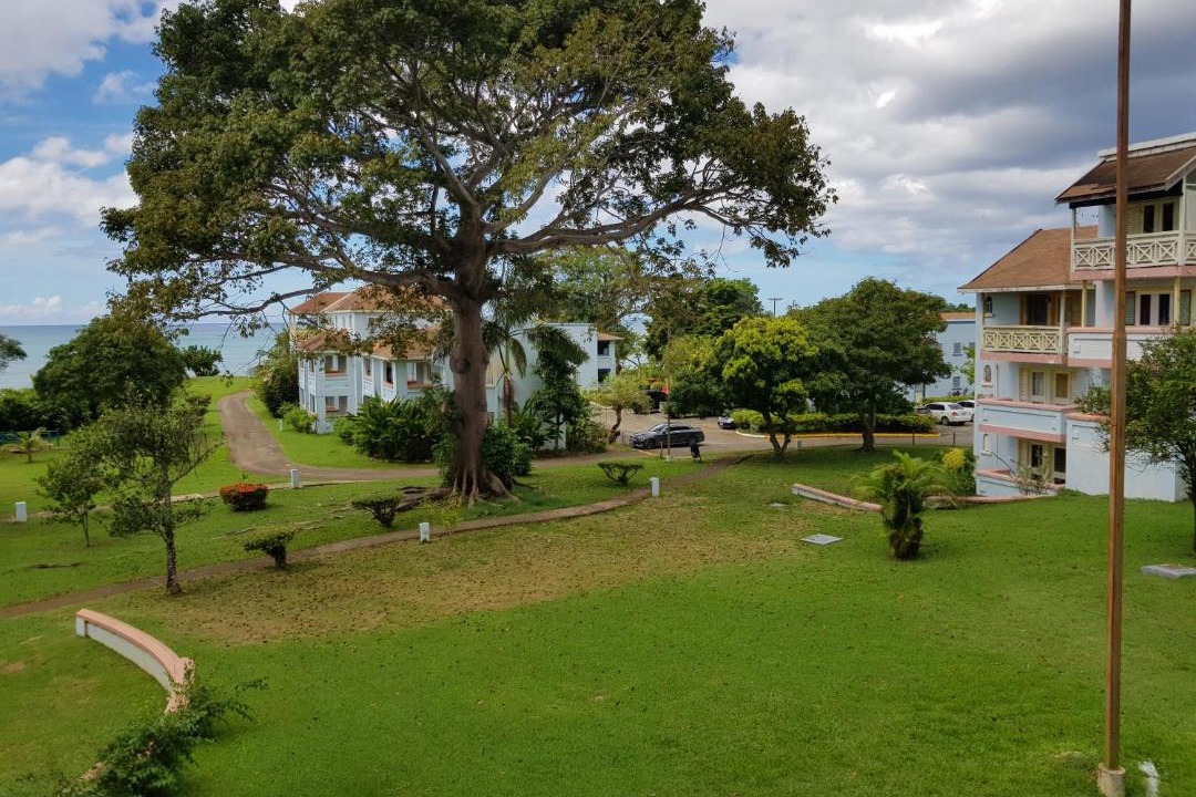 Photo of Others in Orange Bay
