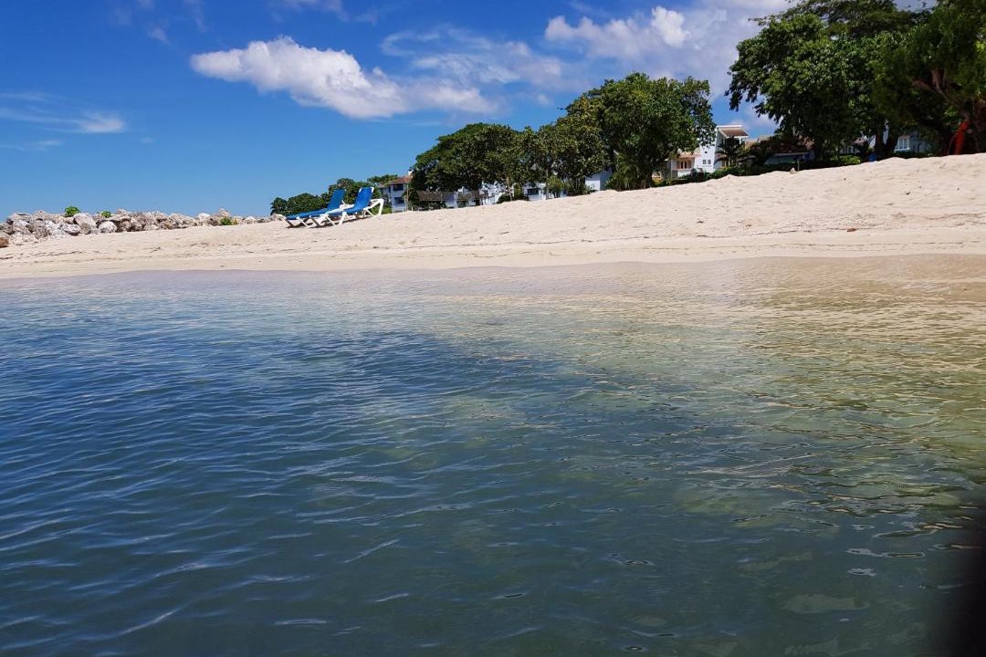 Photo of Others in Orange Bay