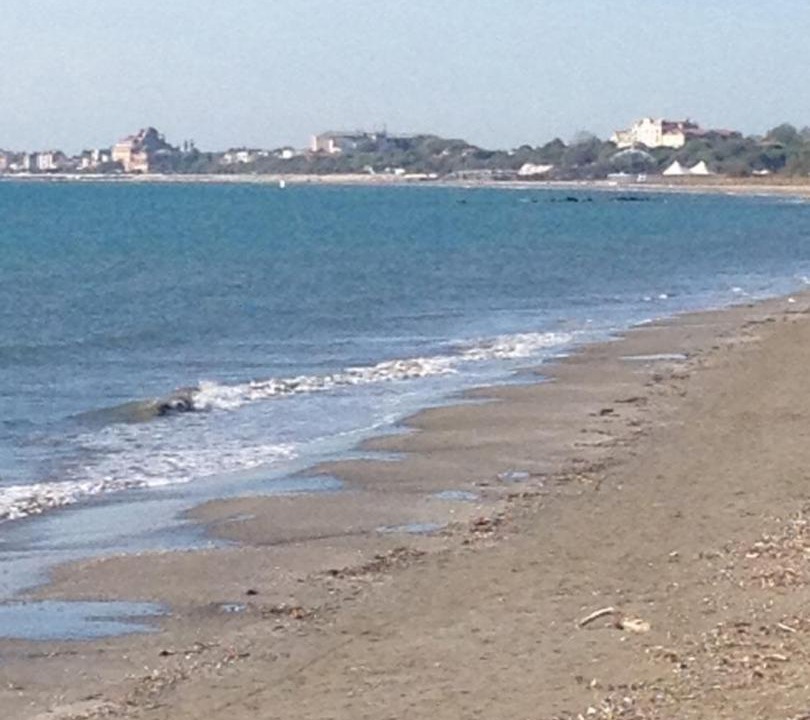 Photo of Others in Santa Maria in Stelle