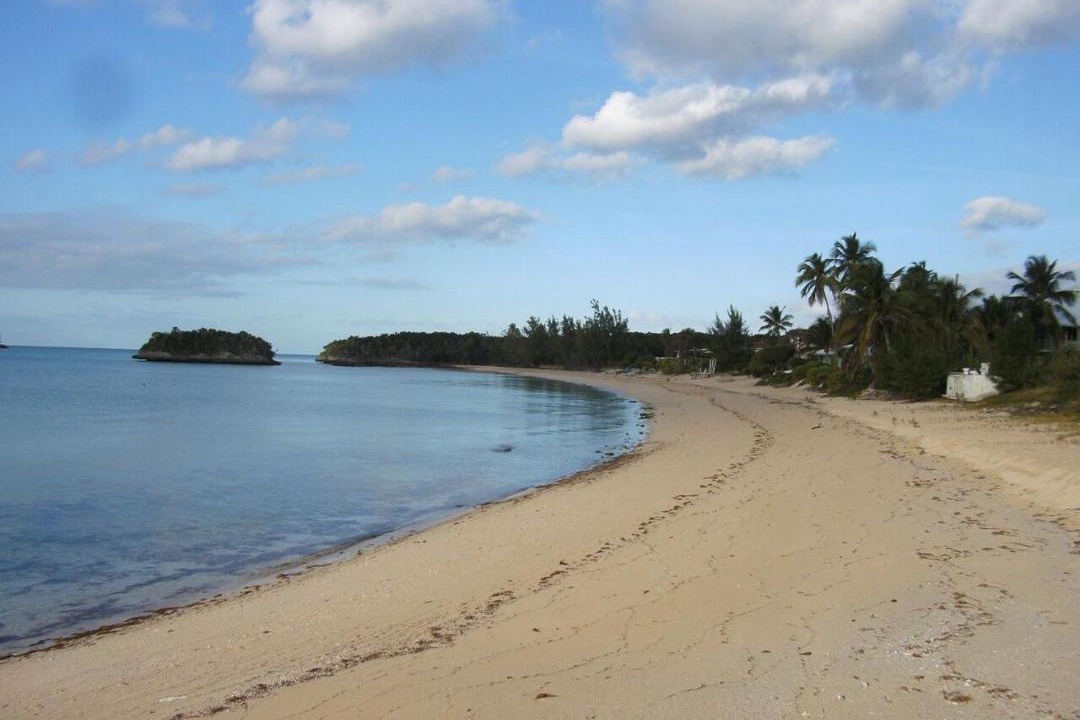 Photo of Others in South Palmetto Point