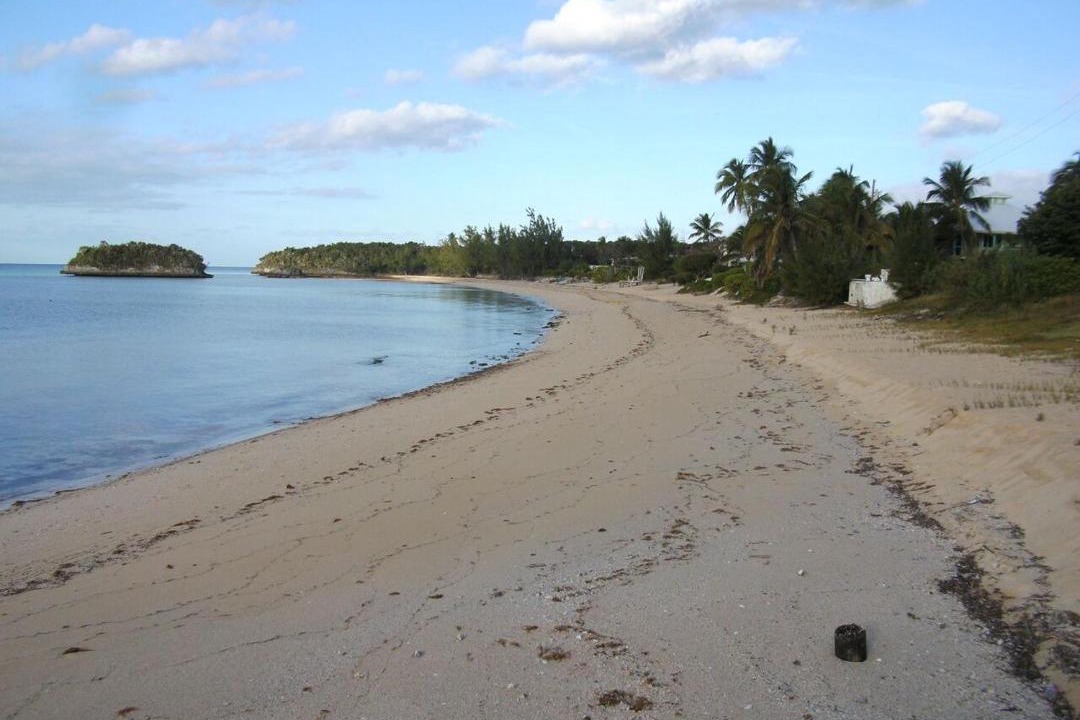 Photo of Others in South Palmetto Point
