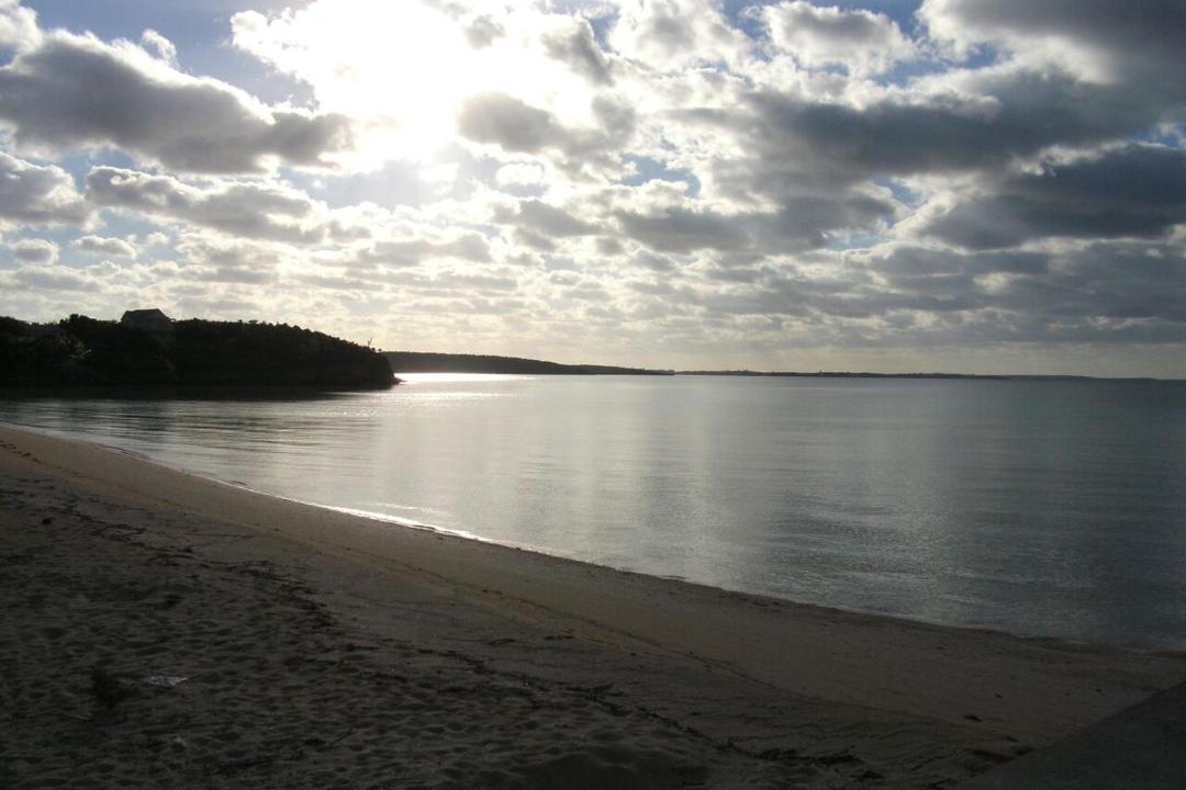 Photo of Others in South Palmetto Point