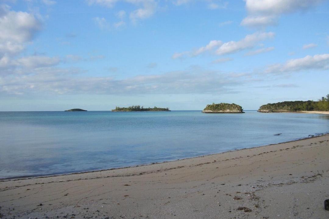 Photo of Others in South Palmetto Point