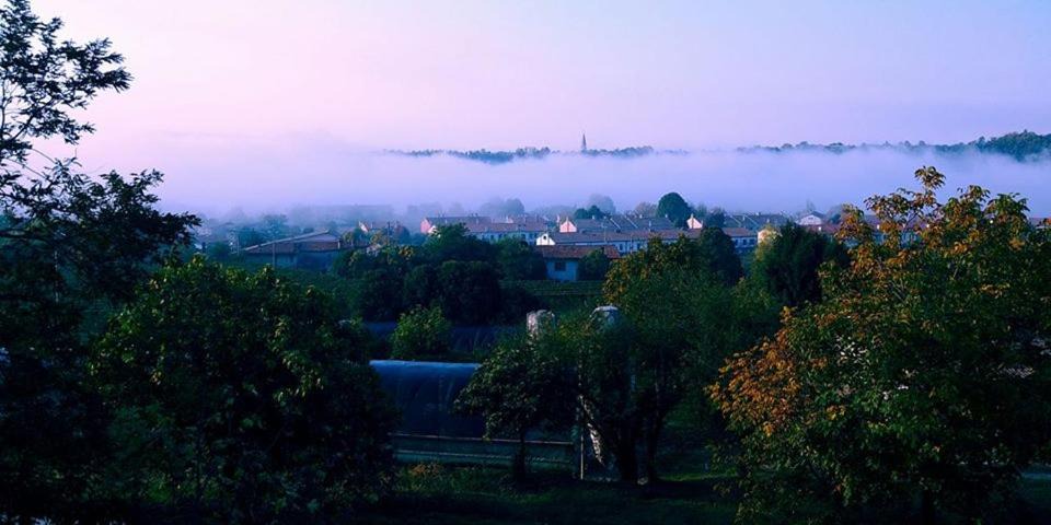Photo of Others in Montebelluna