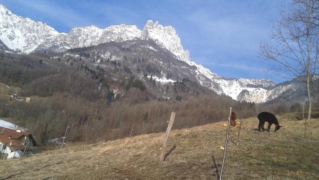 Photo of Others in Recoaro Terme