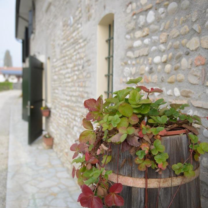 Photo of Others in Codogne