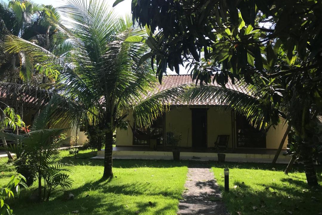 Photo of Others in Paraty