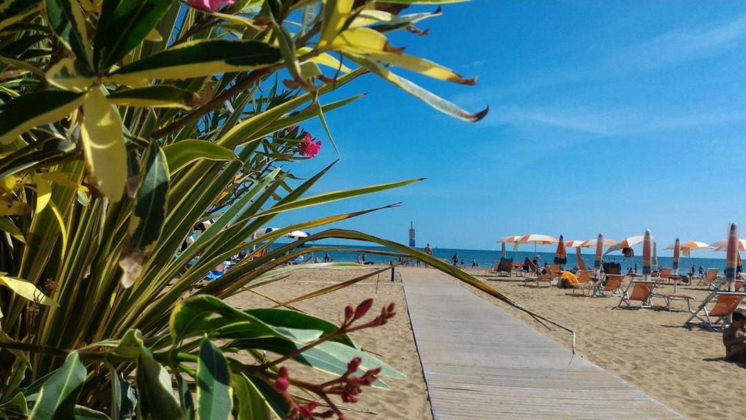 Photo of Others in Bibione