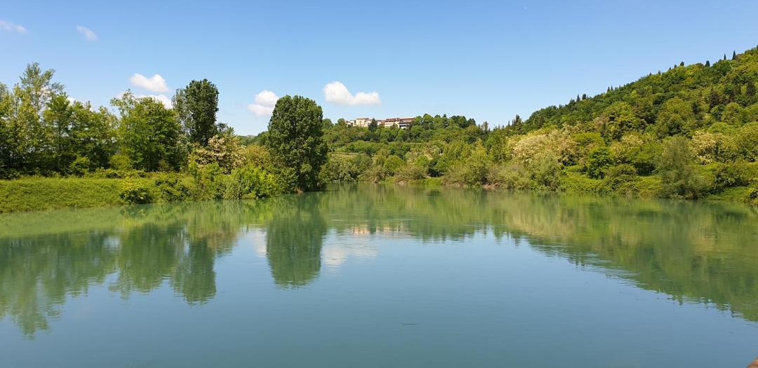 Photo of Others in Borghetto