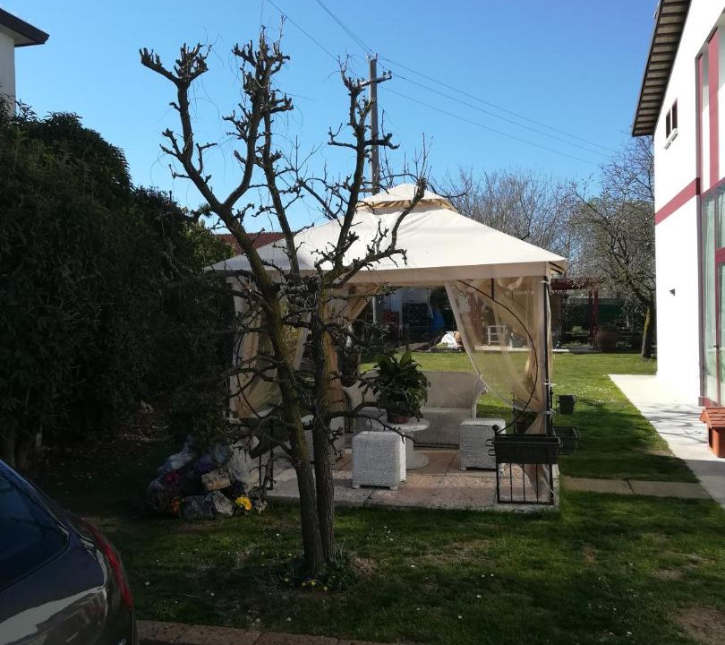 Photo of Others in Treviso