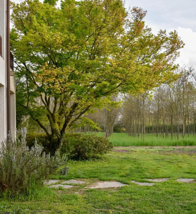 Photo of Others in Motta di Livenza