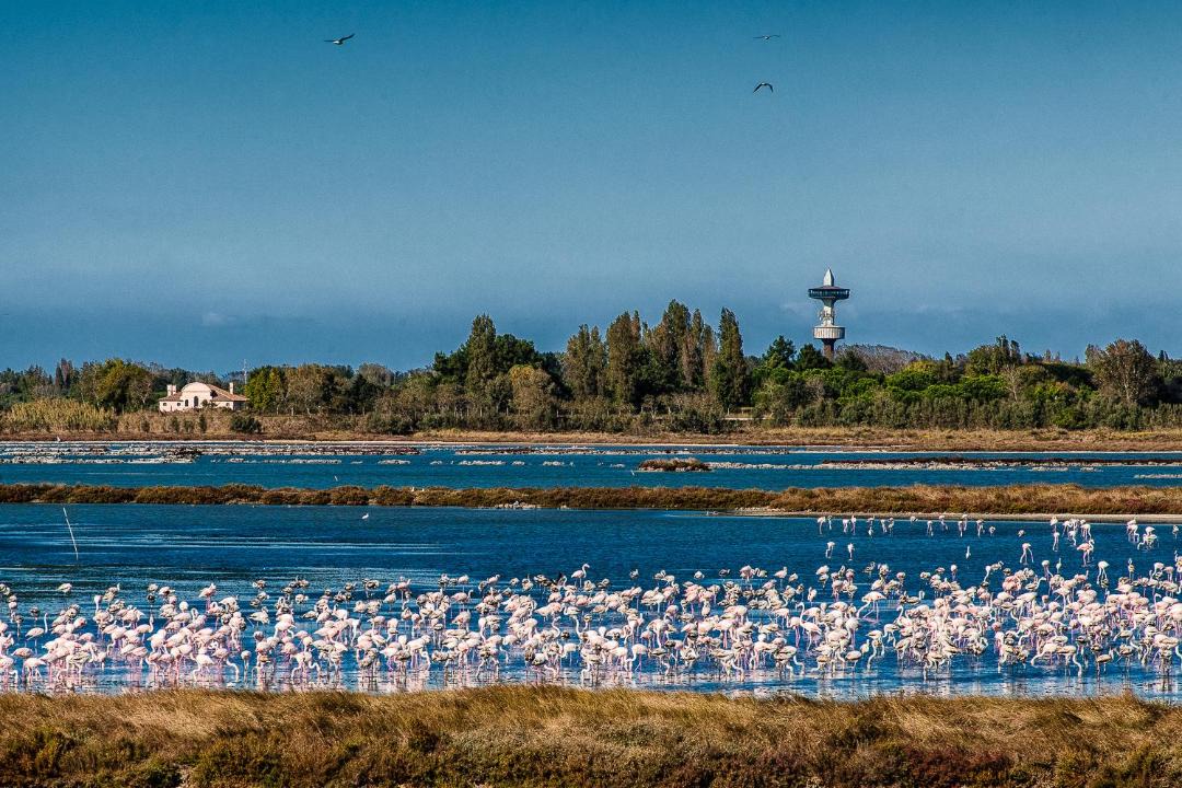 Photo of Outdoor in Porto Tolle