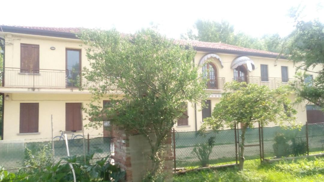 Photo of Others in Zelarino