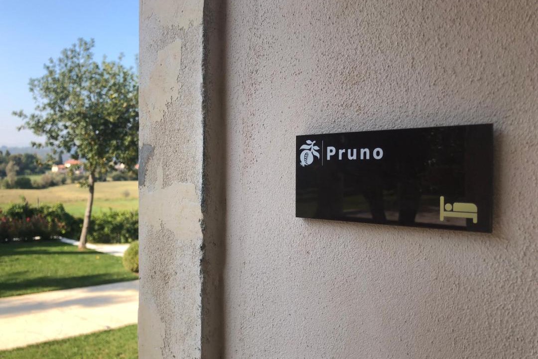 Photo of Others in Vicenza
