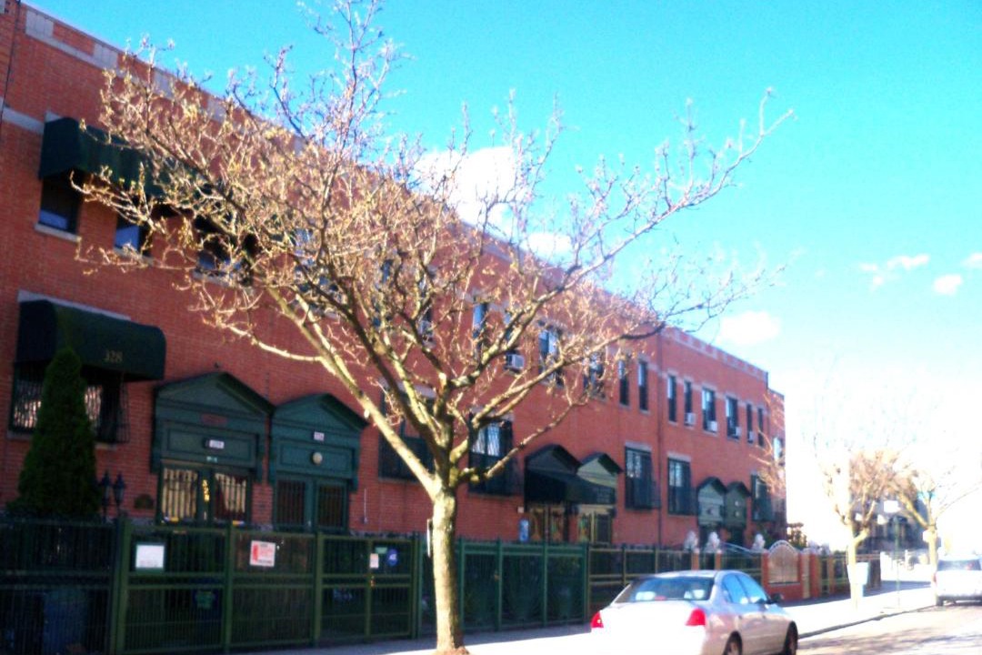 Photo of Others in Ocean Hill