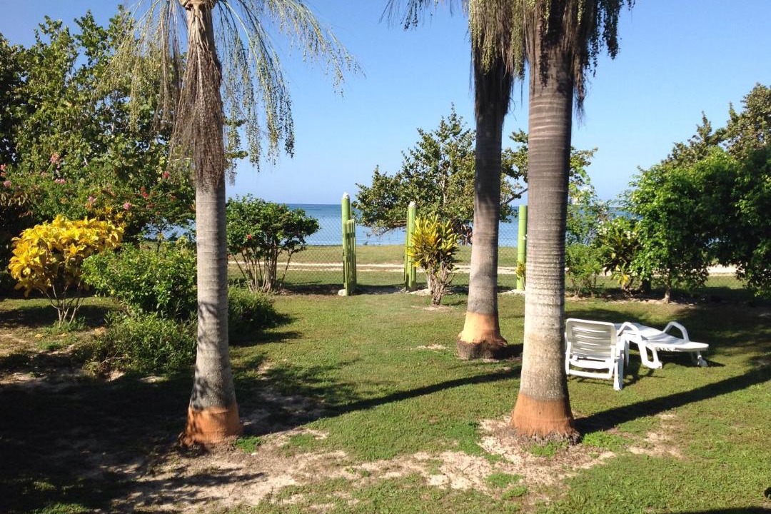Photo of Others in Little Bay