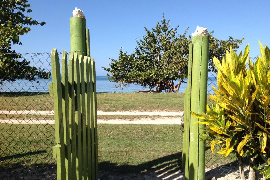 Photo of Others in Little Bay