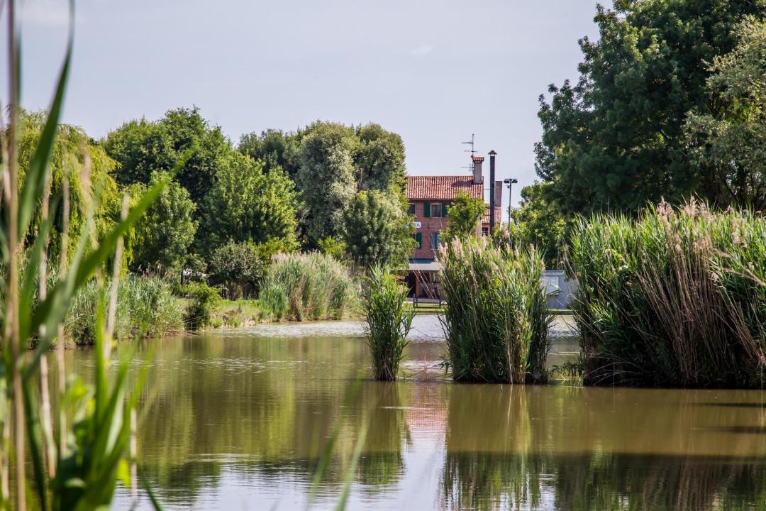Photo of Others in Santo Stino di Livenza