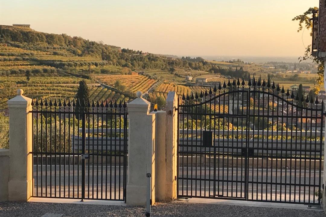 Photo of Others in Gargagnago di Valpolicella