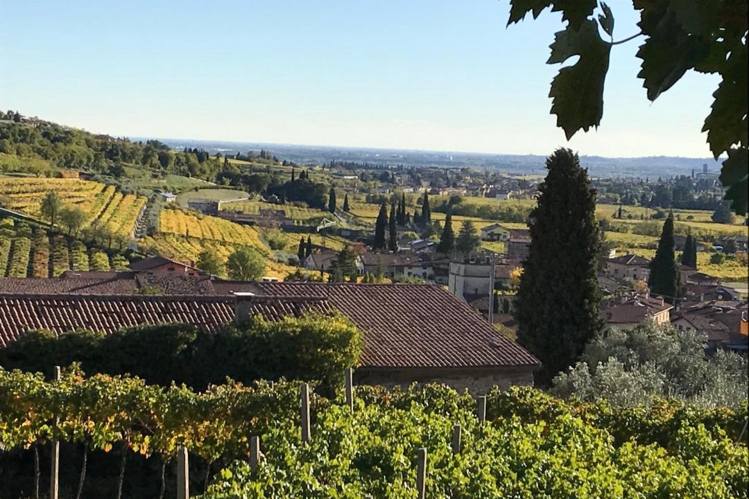 Photo of Others in Gargagnago di Valpolicella