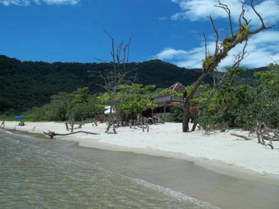 Photo of Others in Paraty