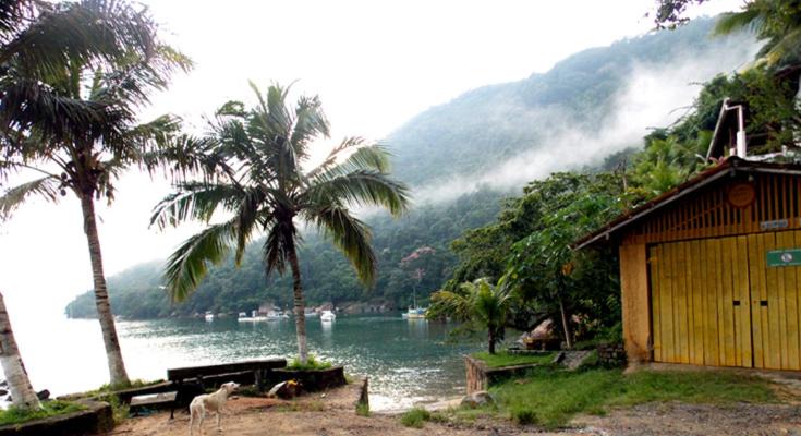 Photo of Others in Paraty