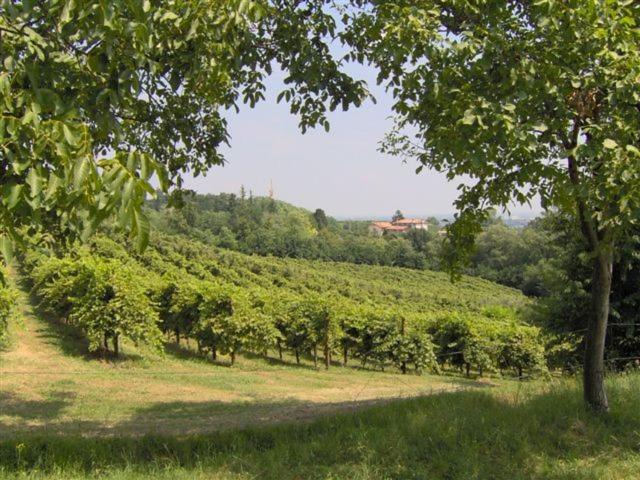 Photo of Others in Susegana