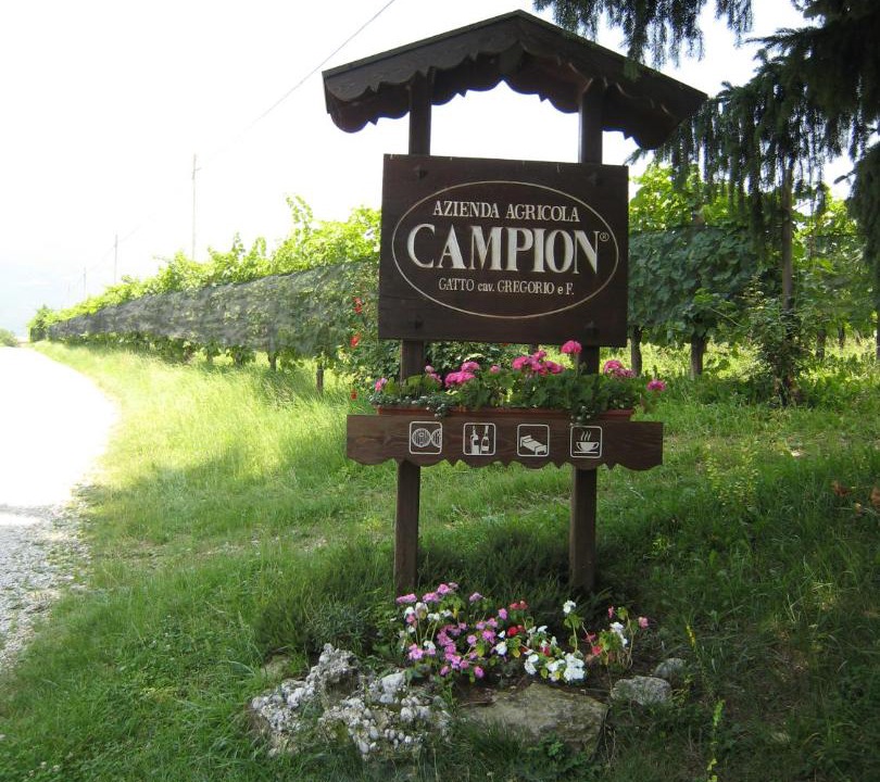 Photo of Others in Valdobbiadene