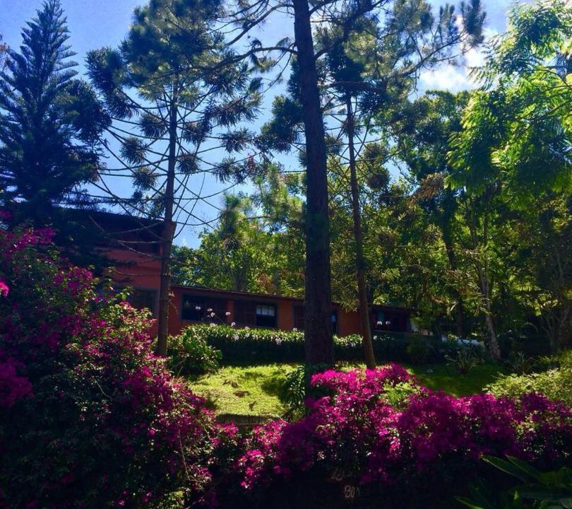 Photo of Outdoor in Fazenda Inglesa