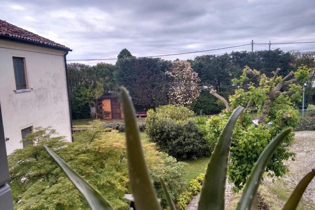 Photo of Others in Mirano