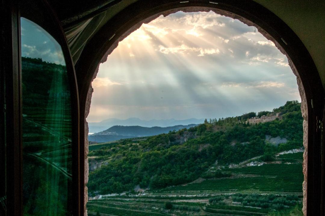 Photo of Others in San Giorgio di Valpolicella
