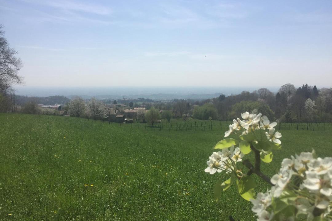 Photo of Outdoor in Paderno del Grappa