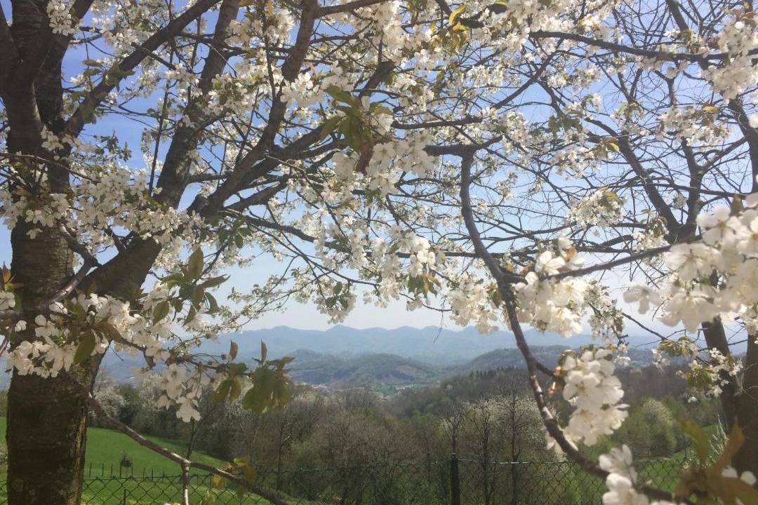 Photo of Buildings in Paderno del Grappa