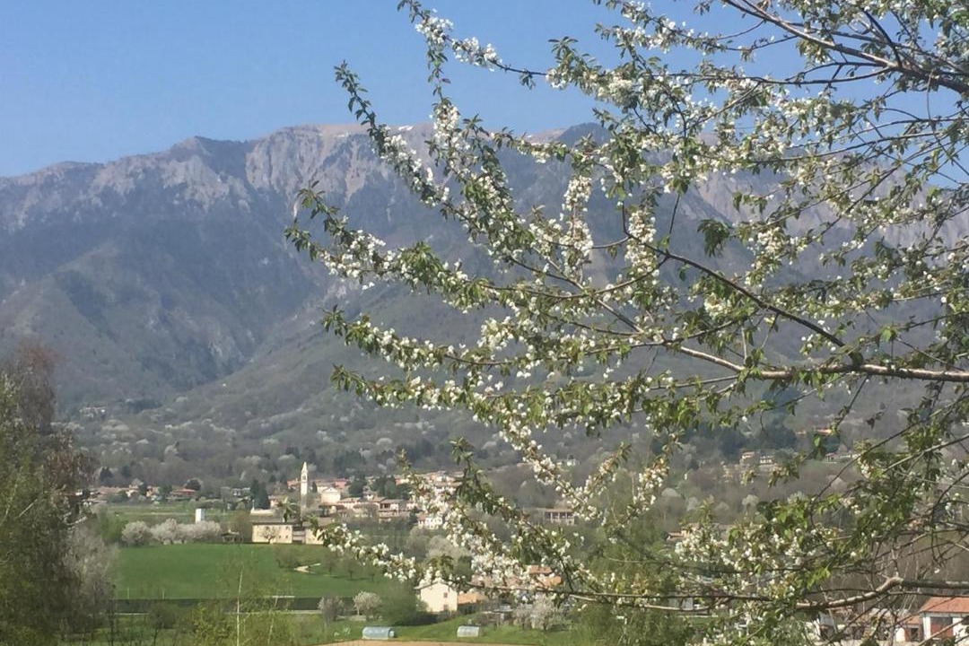 Photo of Outdoor in Paderno del Grappa