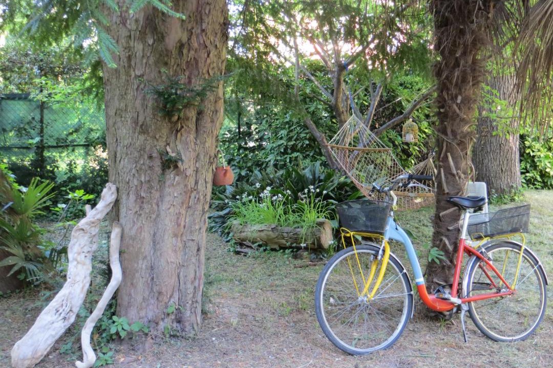 Photo of Others in Santa Maria in Stelle