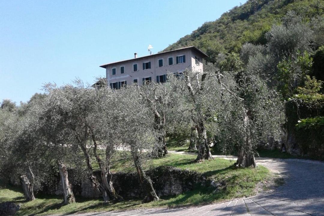 Photo of Buildings in Malcesine