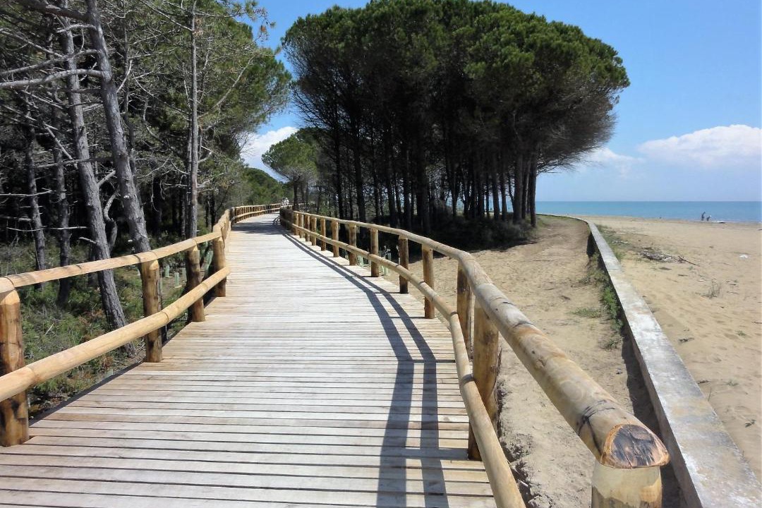 Photo of Others in Bibione