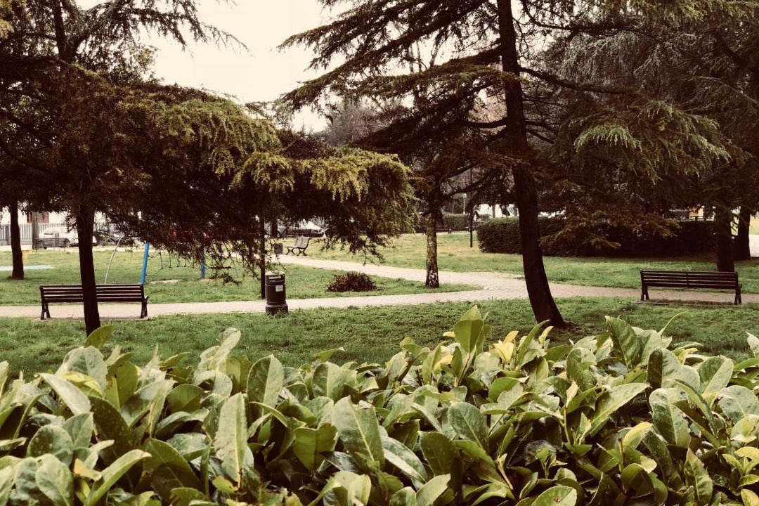 Photo of Outdoor in Montegrotto Terme