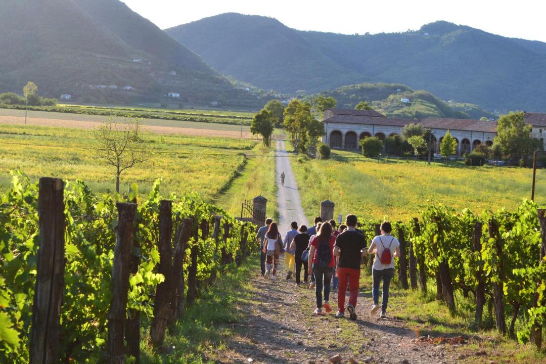 Photo of Outdoor in Galzignano Terme