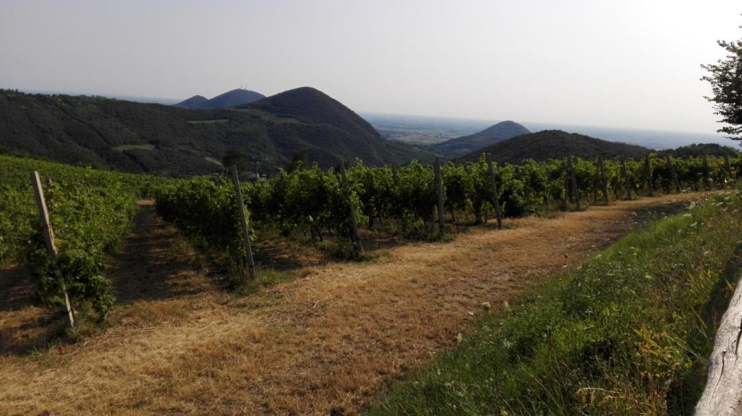Photo of Outdoor in Galzignano Terme