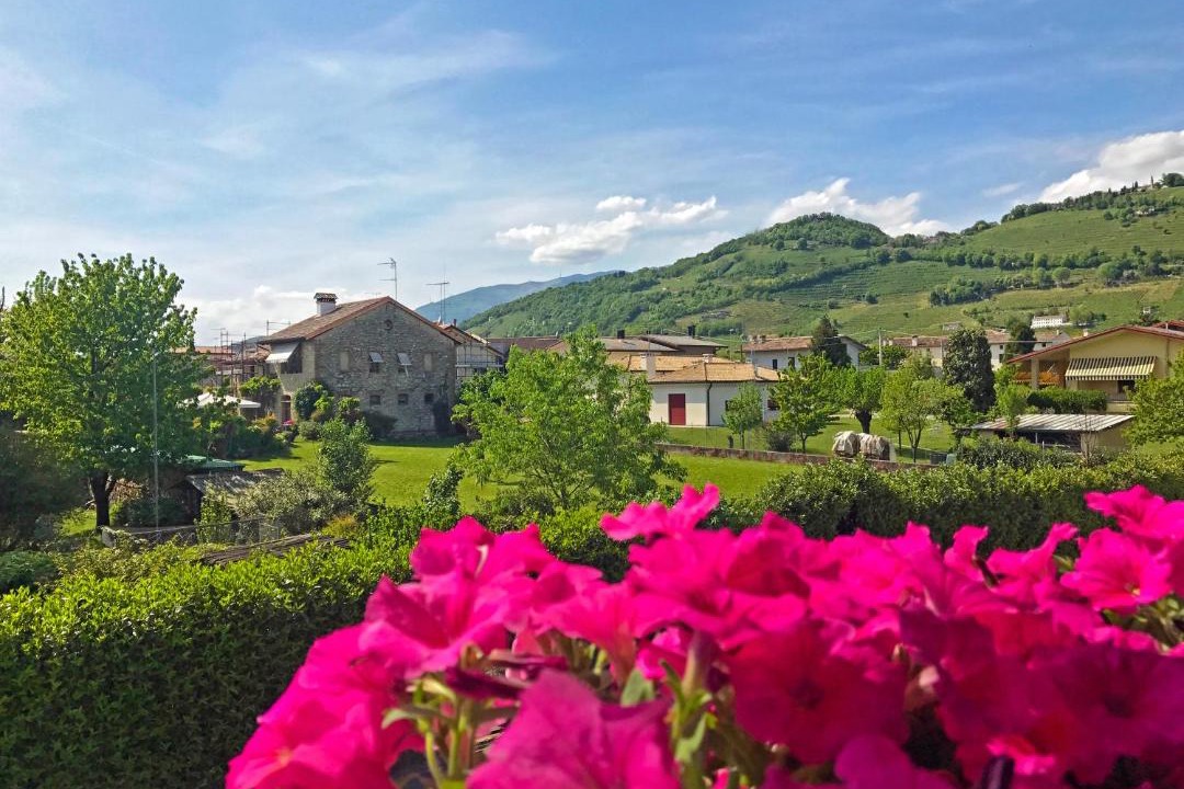 Photo of Outdoor in Soligo