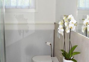 Queen Verona Luxury Apartment